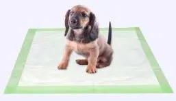 Factory Price Dog Pee Pads Sells Good in Europe Area